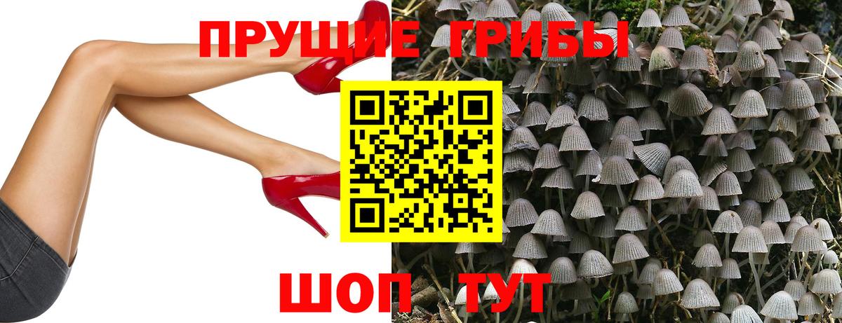 Галлюциногенные грибы мицелий  Псилоцибиновые грибы Psilocybine cubensis  Заинск 